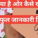 how to play rummy in hindi | Rummy क्या है, कैसे खेलें, फेमस रमी Website और Apps how to play rummy in hindi how-to-play-rummy-in-hindi-rummy-